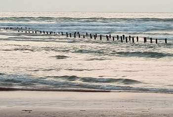 Baina locals demand removal of rods at Drishti floating jetty