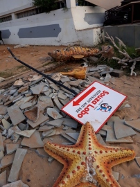 Miscreants go on rampage, damage popular restaurant in Calangute