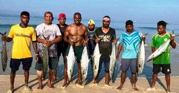 Kingfish bonanza for fishermen on Benaulim-Colva coast