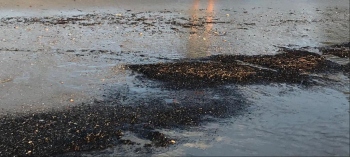 No, not tar balls! This waste on Benaulim coast looks like coal