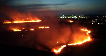 Miscreants set ablaze dry grass at Zuarinagar