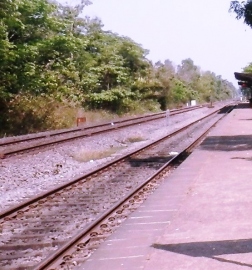 It must be clear to CM: You cannot double track Goans