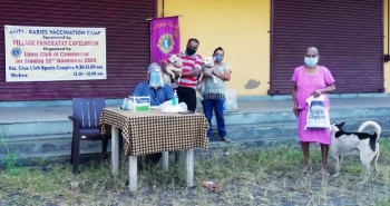 Around 400 dogs vaccinated in Cavelossim and Carmona
