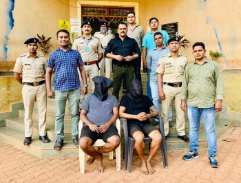 Cannabis plants, drugs worth Rs 20 lakh seized in Korgao, 2 arrested