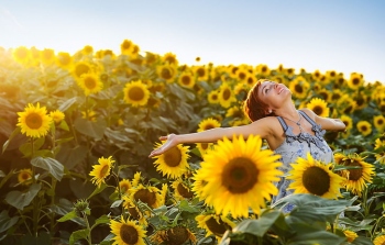 Found joy in 2020? It’s not such an absurd idea, really
