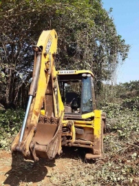 Massive cutting of trees in Pilerne-Marra