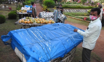 MMC seizes illegal handcarts selling fruits in Margao