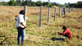 Aquem-Baixo farmers make frantic call to government to save their fields