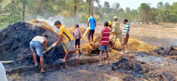 Paddy fields gutted in fire at Hankhane