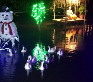 Crib in Chicalim pond attracts visitors from across State