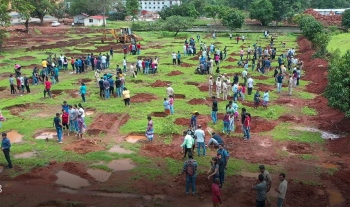GTTPL implements afforestation drive across Goa