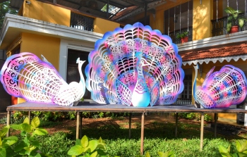 Special Goan section at 51st Iffi