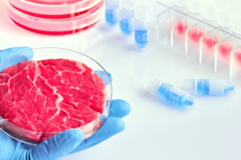 Lab-grown meat: Good news for animals?