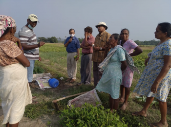 Agriculture officials visit Utorda fields