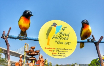 Bird festival begins tomorrow