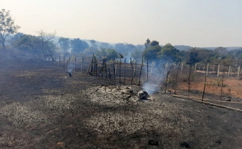 Cashew plantations gutted in fire at Tambose