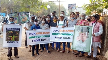Various anti-coal groups agitate in port town