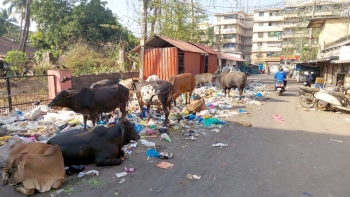 With Mormugao council staff on strike, waste spills on roads