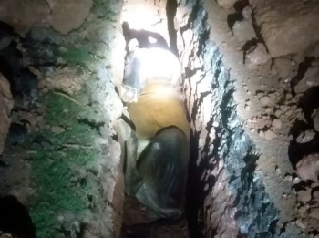 A week later, cow rescued from trench at Old Goa