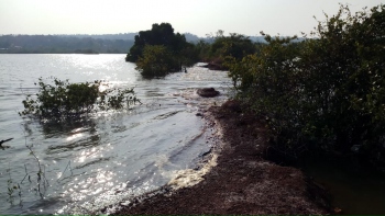 Carambolim residents want bundh rebuilt before rains