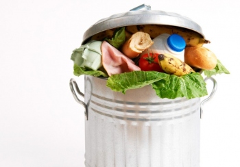 50kg of food wasted per person per year in Indian homes: UNEP