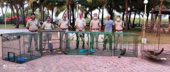 Forest officials seize wild animals from open-air hall in Varca