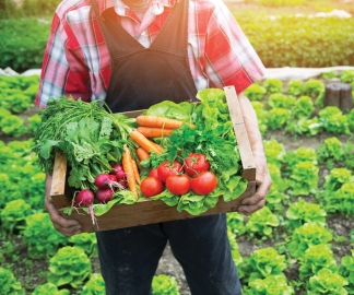 Food security and sustainability