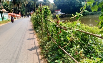 Repair damaged Curtorim barrier