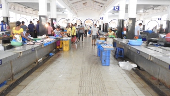 Fish scarcity in retail market too; frozen fish from processing units likely to hit wholesale market