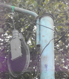 Unsatisfactory maintenance by electricity linesmen