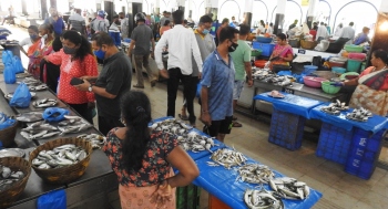 Local fish hits retail market too