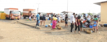 48 vehicles bring in fish at wholesale market