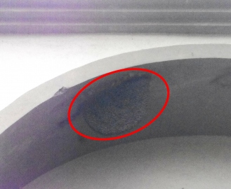 Hive at govt complex must be removed