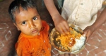 Domestic drought looms larger than global food crisis