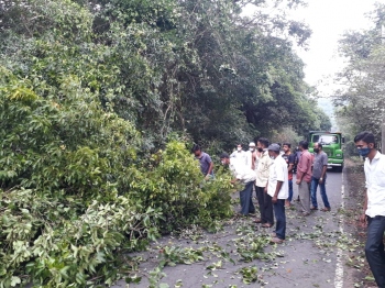 Fallen tree at Chorla Ghat hits travellers returning to Belagavi