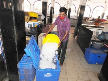 Vendors find themselves in a fix over disposal of fish worth thousands