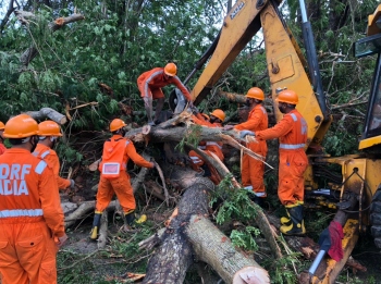 NDRF swings into action; locals join post-cyclone operations
