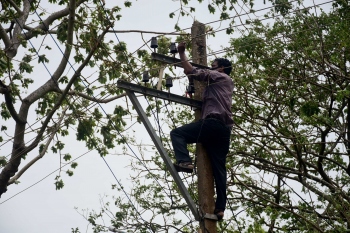 Major losses to power infra, 700 poles, 300 transformers damaged: Sawant