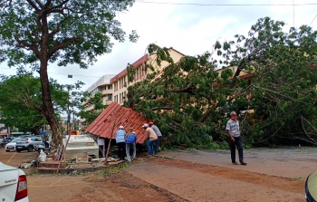 Firefighters clear 150 fallen trees in Bardez