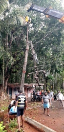 Power restored in 60% areas of Canacona: AE
