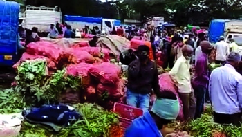 Supply of veggies to Goa streamlined
