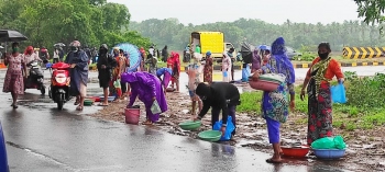 Western Bypass junction: A new market for fish!