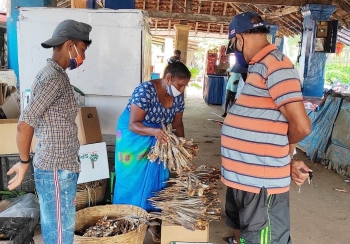 Another year, another subdued annual Purumentachem fest