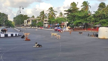 Covid hits hard; another summer ends without tourists at Colva