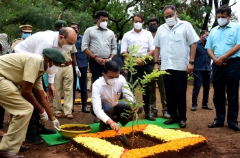 Now, portal to document commercial plantations