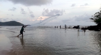 Traditional fishing comes alive on Canacona coast