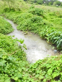 Margao sewage menace: Salcete Mamlatdar told to take action