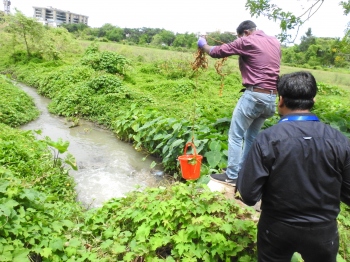 GSPCB slaps Rsâ€‰1.18 cr penalty on PWD for sewage discharge