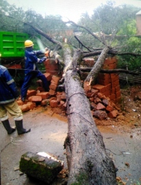 SATTARI BEARS THE BRUNT OF RAIN