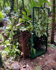 Forest department places cage to trap leopard in Honda